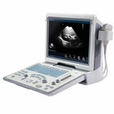 Mindray DP-50 Veterinary Ultrasound System